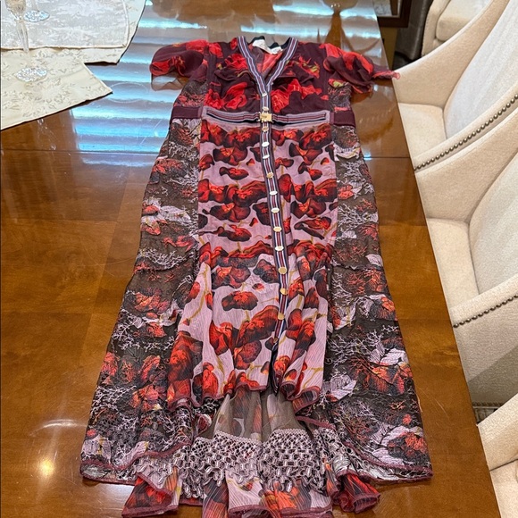 Byron Lars, Elegant,Unique Floral Sheer Maxi Dress, Red/Purple Accents, size 10 - Picture 14 of 15